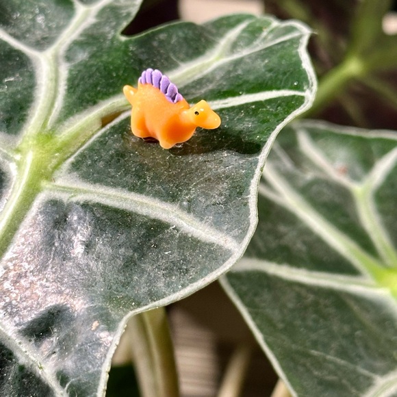 - 🍃20 pack plant magnets🍃 - Picture 9 of 15